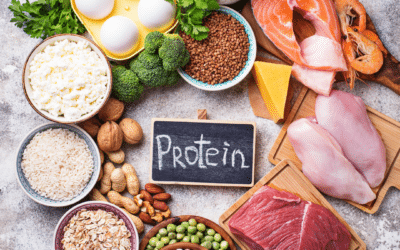 3 Top Protein Choices for Lean Definition